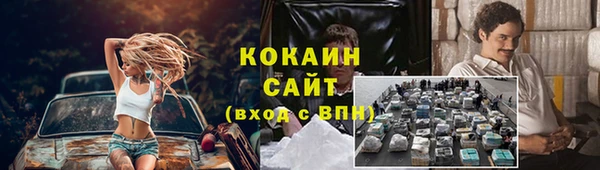ALPHA PVP Костерёво