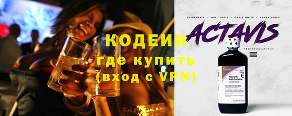 хмурый Корсаков