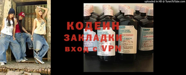 хмурый Корсаков