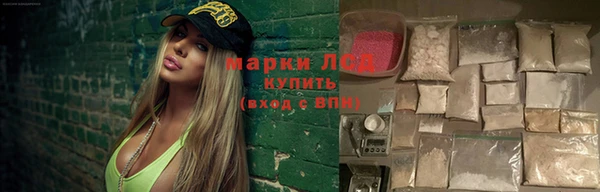 сатива Коряжма