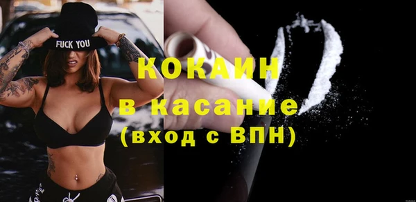 сатива Коряжма