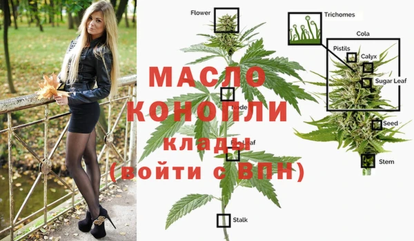 хмурый Корсаков