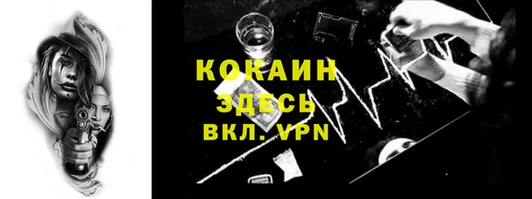 сатива Коряжма