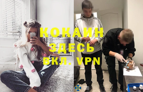 сатива Коряжма