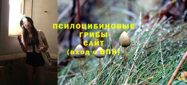 хмурый Корсаков