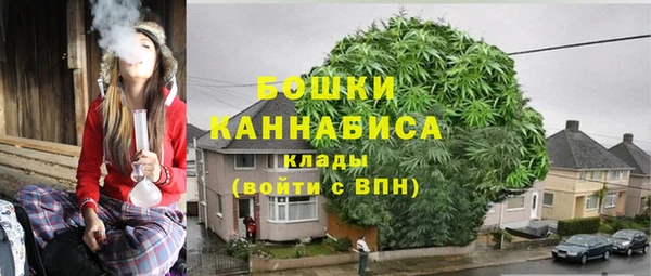 ALPHA PVP Костерёво