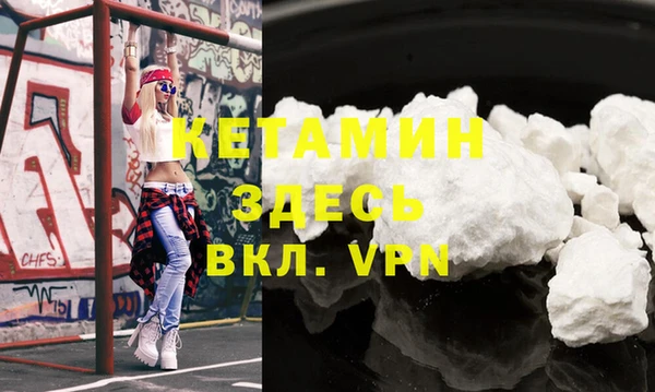 сатива Коряжма