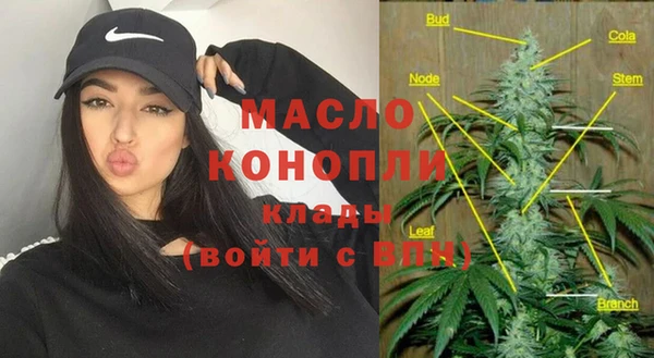 сатива Коряжма