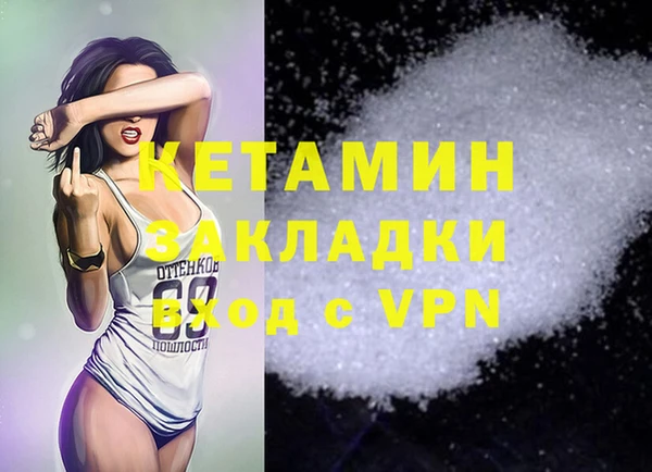 сатива Коряжма