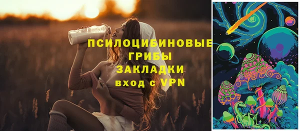 хмурый Корсаков